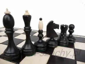Pezzi da torneo neri e chiari